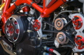 IMGP0925.JPG