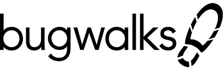 Bugwalks logo
